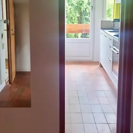 Le Balcon Des Alpes L Modernist L Cosyhome アパート クラン