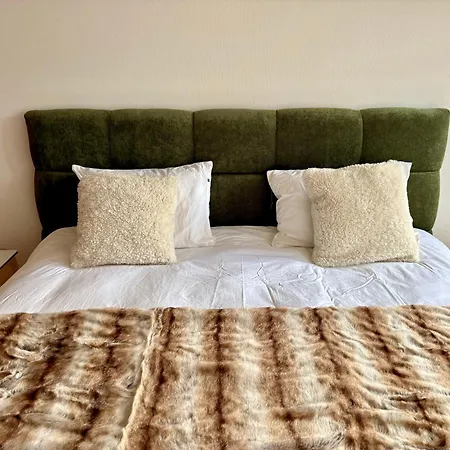 Le Balcon Des Alpes L Modernist L Cosyhome アパート