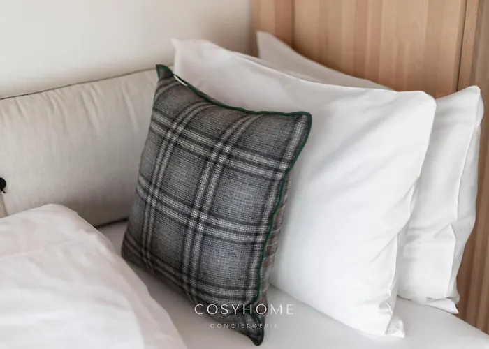 Le Balcon Des Alpes L Modernist L Cosyhome