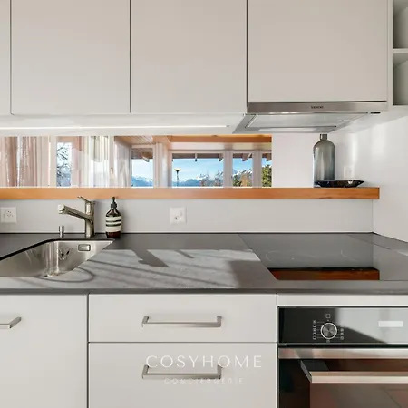 Le Balcon Des Alpes L Modernist L Cosyhome *